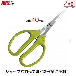 AX zr[ Ntg͂ NtgoT~ vf n 300S-T   | H @ d  vX`bN