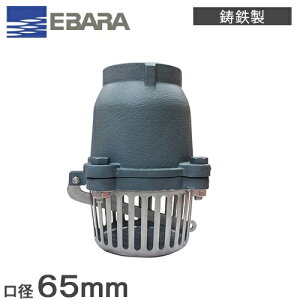 Go|v S t[g 65A tW` NFT-65 `쏊 t~ t[h t[hou d؂  p i 65mm