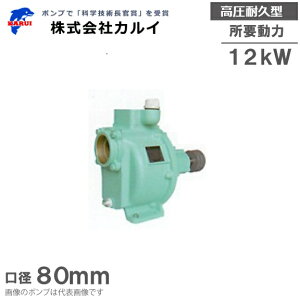 カルイ キャナルポンプ 逆止弁つき 高圧耐久型 KLO-801 65mm 単体ポンプ 灌水ポンプ ベルト掛けポンプ 農業用ポンプ 給水ポンプ