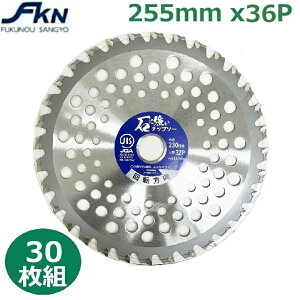 `bv\[ 255 mmX36P  p p`bv\[ @֐n ֐n ւn  @p @p @ Rut JIS 30 ΂ɋ`bv\[