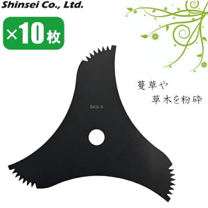 Rїp `bv\[ On 10Zbg @ ֐n @ n ւn @ @ GW On ؂  鑐 c