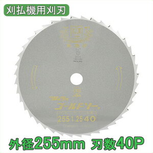 c @ @ n ֐n `bv\[ n 255mm n40P[Ñ @ @ ւn i p[c]