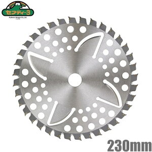 ZteB|3 @ `bv\[ tጸ^Cv 230mm×36P [@ @ @ ֐n p[c i ւn]