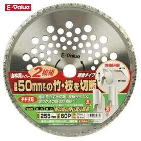 E-Value 山林用チップソー 2枚組 ES-255mmX60P 替刃 交換 草刈機用 草刈り機用