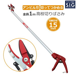 SIG }؂oT~ 1m 1[g y ߂ Lb`@\t }؂΂ } }؂ ΂ n ̏W  y  _ G135