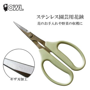 OWL |p XeX #301 MUn n E  ͂ t[AWg | K[fjO