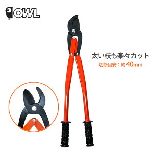 OWL   ؂΂  荞݃oT~ |   ݂͂ K[fjO