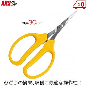 AX Ԃǂ n n nT~ E 320DX-T ʎ ƒ؉ | K[fjO