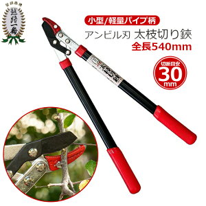 ^ ӂƎ}؂ Ar^ }؂ }؂͂ }؂oT~ } ΂  } 荞݂΂  荞 |pi