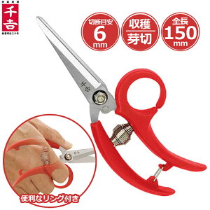 g Ot| SGP-40  [΂  ͂ nT~ K[fjO]