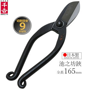 g ΂ rVV 165mm  Ԃ΂ t[AWg ͂  oT~ rV