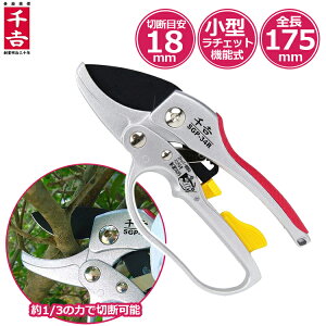 g ΂ SGP-34R `Fbg  oT~ ͂ nT~ }͂ }