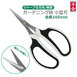 |nT~ |΂ ΂  K[fjOnT~ ^n SSP-15  ԃnT~ p | |͂ \nT~