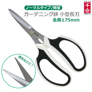 |nT~ |΂ ΂  K[fjOnT~ ^n SSP-16  ԃnT~ p | |͂ \nT~