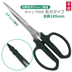 |nT~ |΂ ΂  K[fjOnT~ n  ԃnT~ p | |͂ \nT~