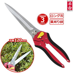 g ΂ On| SSP-23 t }  A oT~ }͂ }