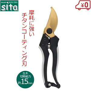 sita ΂ `^R[eBO `^R[eBOn S20cm ͂ } ~  A | K[fjO A917