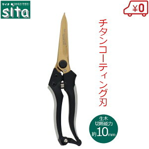 sita ΂ ؋ X[p[O`^R[eBOn A919  oT~ ͂ ̉ʂ͂ | K[fjO