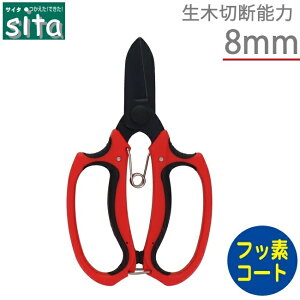 sita Ԃ͂ tbfR[eBOn ΂ A؃nT~  oT~ ͂  ~  A922