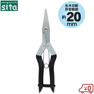 sita ΂ nnT~ p[Eʂ͂ A960  oT~ ؋ ͂ ̉ʂ͂ | \͂ 