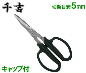 ΂ SSP-20  K[fjO Lbvt[| ͂ ؉ ԃoT~ G]