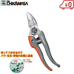 ߐ z[hnT~ TS-77HB n  E Eʍ Eʂ΂ | ʎ  ͂ oT~ | _Ǝ n Rei {