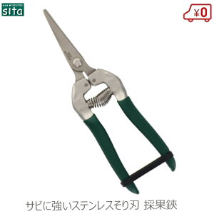 sita ̉ʂ΂ ̉ A020 ̉ʃoT~ EԂ͂ ~ ͂ Kтɂ n  | \͂ A }؂ _ ʎ K[fjO