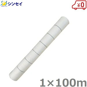 hV[g TzCg 1m×100m F } V[g Gh~V[g G΍ G} Gh~ _Ǝ