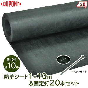 Uo[ hV[g 240 O[ 1m×10m V[g B×20{  όN10N Y V[g Gh~V[g G} Gh~ G΍ f|