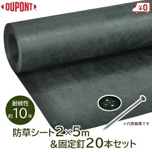 Uo[ hV[g 240 O[ 2m×5m V[g B×20{  όN10N Y V[g Gh~V[g G} Gh~ G΍ f|