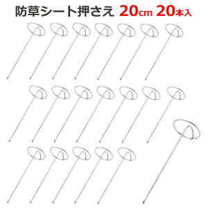  hV[g ct 20cm 20{ 4mma }` t Œ s Y }` sDz ˃V[g _Ɨp _Ǝ