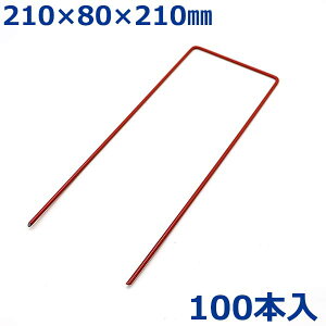  Us B R̎sY 100{ 21cm ԐF lHŉ Œs _Ɨplbg hV[g