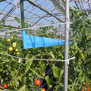 F{X SߒV[g gV[[F 10cm×100m QߊlS V[ ߂V[ hV[g AU~E} AuV