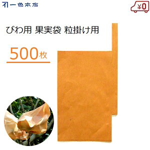 F{X т| 500  | тp ʎ ΍ Q΍ 悯 f ʎ| ʎ #16 K-2