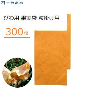 F{X т| 300  | тp ʎ ΍ Q΍ 悯 f ʎ| ʎ #16 K-2