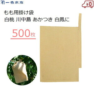 F{X | 500 ʎ | p  쒆  P ΍ Q΍ 悯 ʎ| #7 K-5