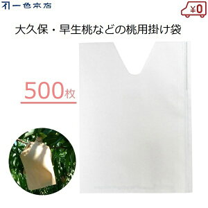 F{X | 500 ʎ | p VJbg  v ΍ Q΍ 悯 ʎ ʎ| #7 K-7