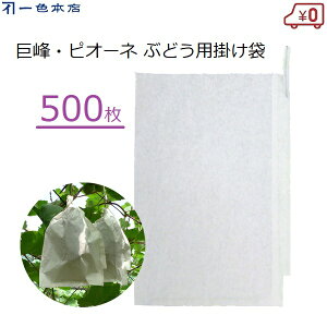 F{X Ԃǂ| 500 ʎ | uhEp  sI[l d| J悯 J΍ Q΍ 悯 L܍͔| ʎ ʎ| #3 K-16