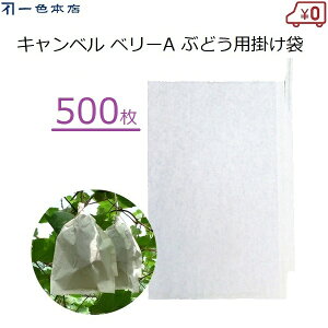 F{X Ԃǂ| 500 ʎ | uhEp Lx x[A d| J悯 J΍ Q΍ 悯 L܍͔| ʎ ʎ| #4 K-15