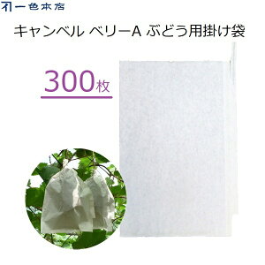 F{X Ԃǂ| 300 ʎ | uhEp Lx x[A d| J悯 J΍ Q΍ 悯 L܍͔| ʎ ʎ| #4 K-15