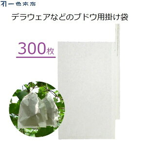 一色本店 ぶどう掛け袋 300枚 果実袋 掛け袋 ブドウ用 デラウェア 一重掛け袋 雨よけ 雨対策 害虫対策 鳥よけ 有袋栽培 果樹 果実掛け袋 #8 K-14