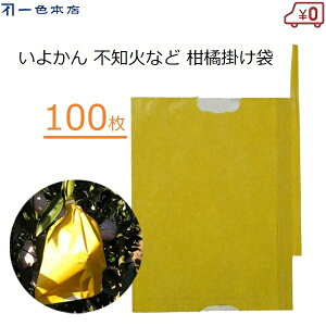 F{X k| 100 ʎ | 悩 fR| sm  ӊ k z~p d| J΍ Q΍ 悯 L܍͔| ʎ ʎ| #6 K-19