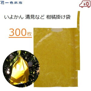 F{X k| 300 ʎ | 悩 fR| sm  Ñ ӊ k z~p d| J΍ Q΍ 悯 L܍͔| ʎ ʎ| #6 K-20