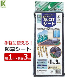 N[N hV[g y悯V[g 1m×3m Uo[ G h~ V[g ΍  ƒ؉ ƒp