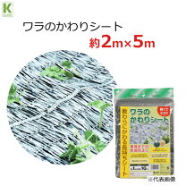 楽天市場】敷き 藁 いら ずの通販