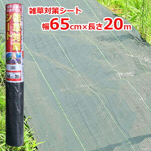 N[N G΍V[g hV[g 65cm×20m NX^Cv V[g Gh~V[g G} Gh~ G΍