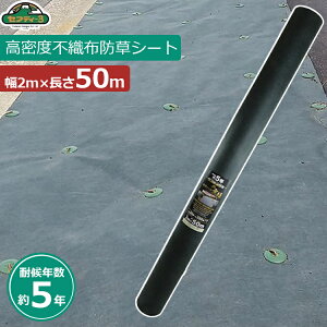 ZteB[3 hV[g 2m×50m όN5N  V[g Gh~V[g G} Gh~ G΍ ԏ    
