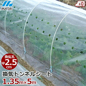 {}^C CglV[g 1.35m×5m glV[g ۉrj[ ۉtB Csv CEt J悯  | V[g tB