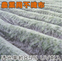 楽天市場】ユニチカ パスライト 幅180cm×長さ200m 農業用べたがけ 