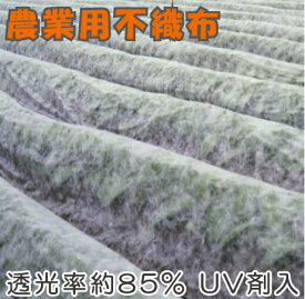 【法人様限定】農業用 不織布 1.5m×200m UV剤入 保温シート 農用 防鳥ネット 防虫シート ロール 農業資材 園芸資材